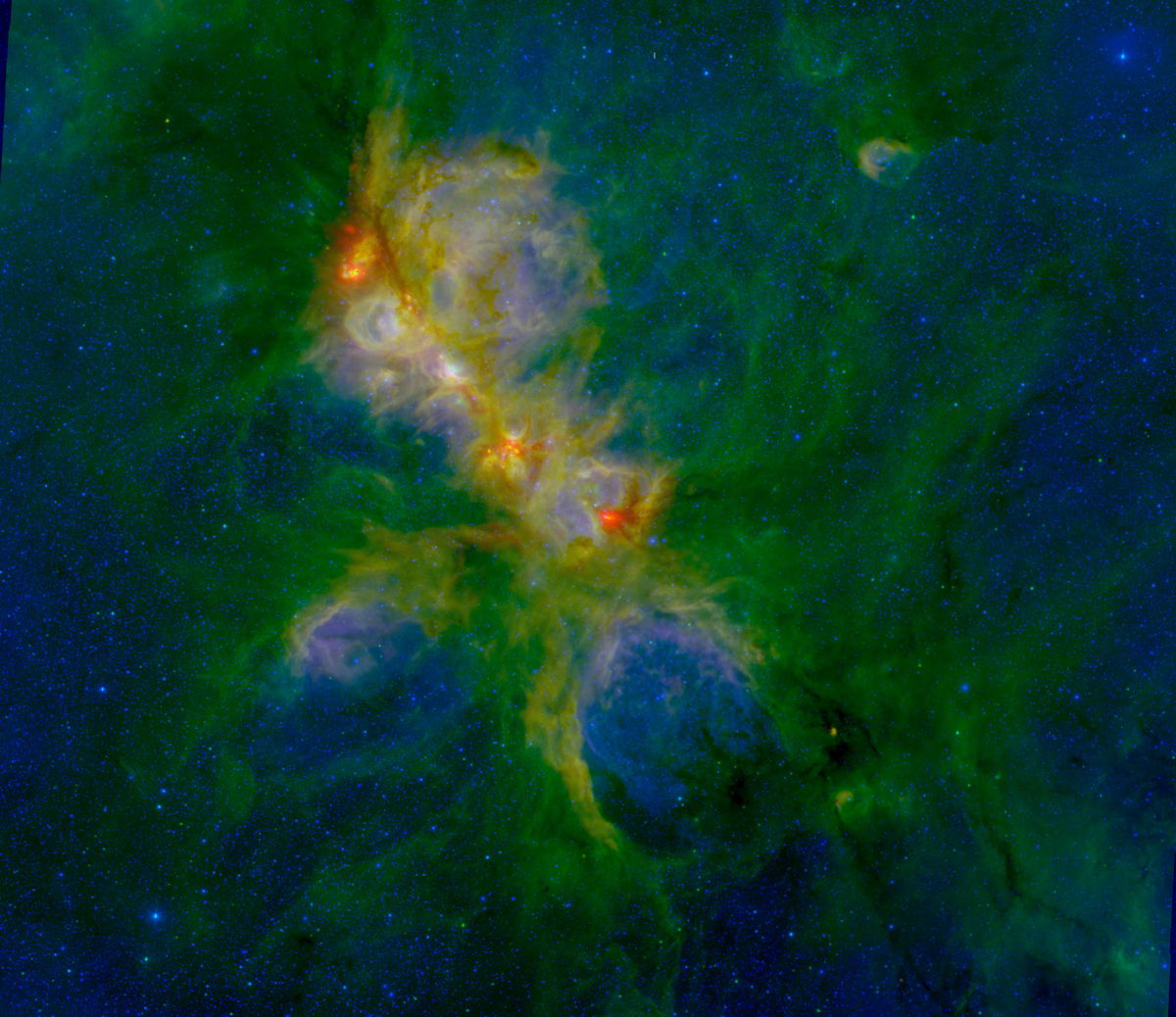 'Cat's Paw Nebula' Bursting with New Star Growth